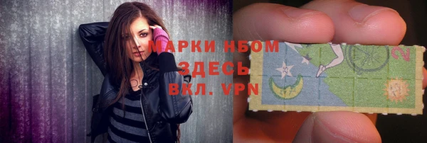 альфа пвп Новодвинск