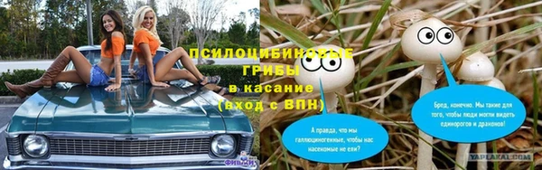 эйфоретик Новокубанск