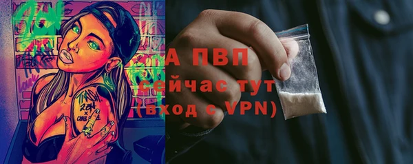 альфа пвп Новодвинск