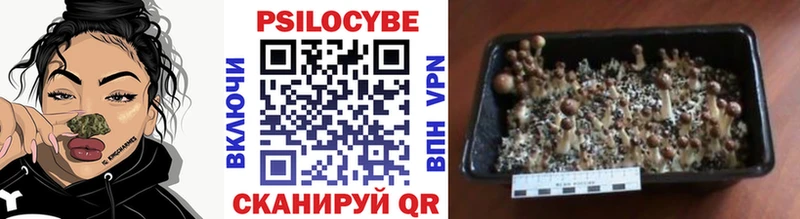 Псилоцибиновые грибы мухоморы Кудымкар