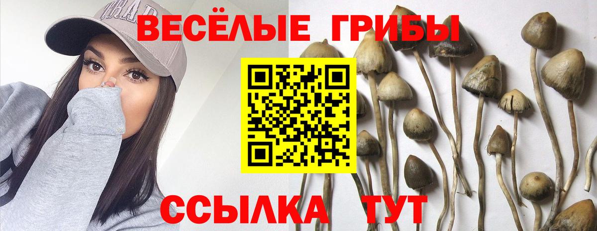 Кудымкар  Псилоцибиновые грибы мухоморы  Вход с VPN  Галлюциногенные грибы Magic Shrooms 